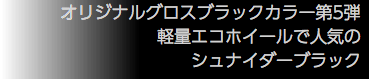 オリジナルグロスブラックカラー第5弾 軽量エコホイールで人気の シュナイダーブラック